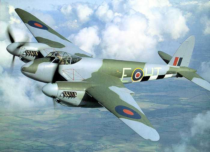 Mosquito